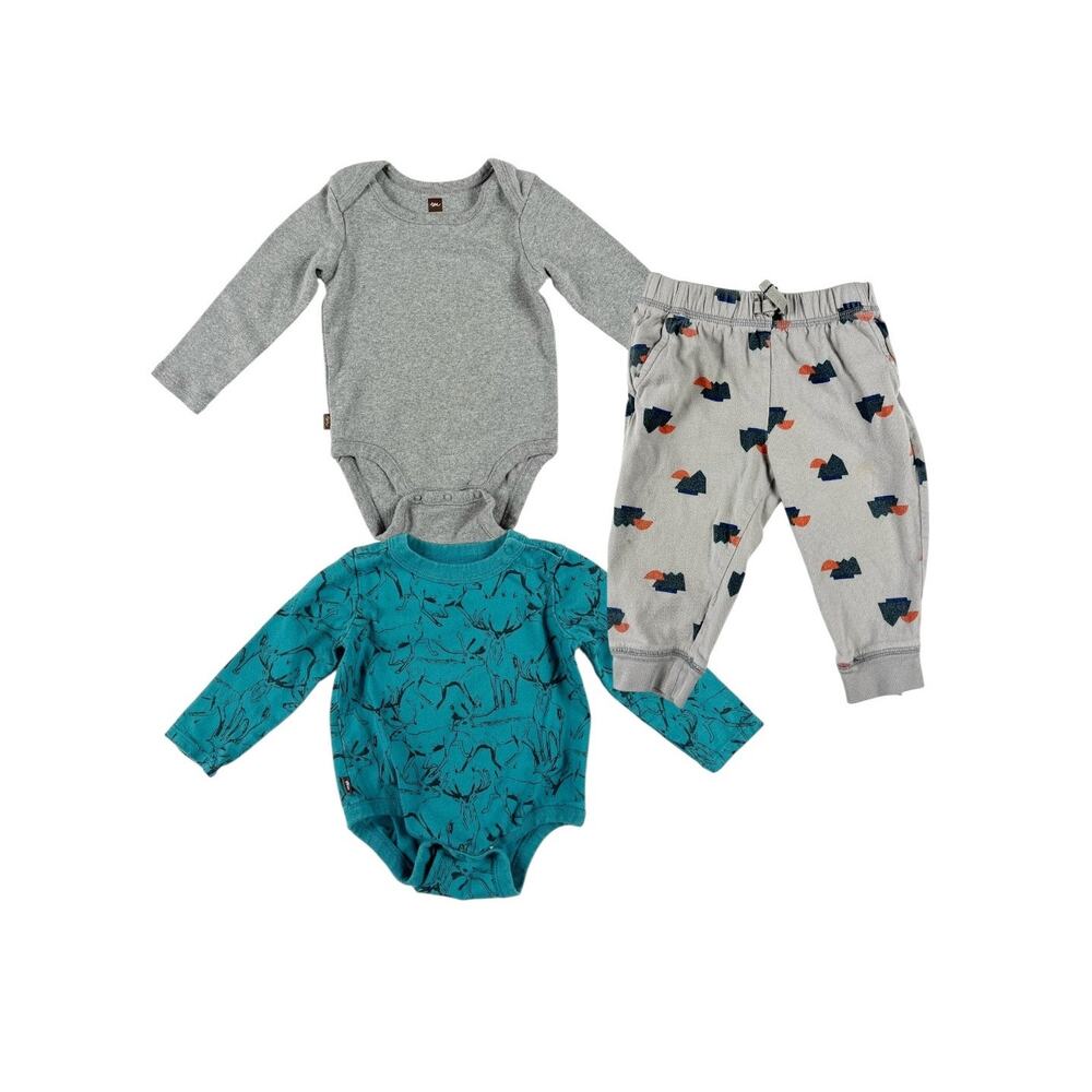 Tea Collection Bundle  Set Long Sleeve Bodysuits Pants Baby 9-12 Months